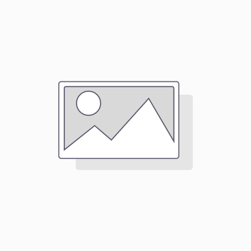 2011 Williams Selyem Pinot Noir Terra de Promissio Vineyard